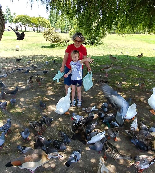 Feeding ducks at the park