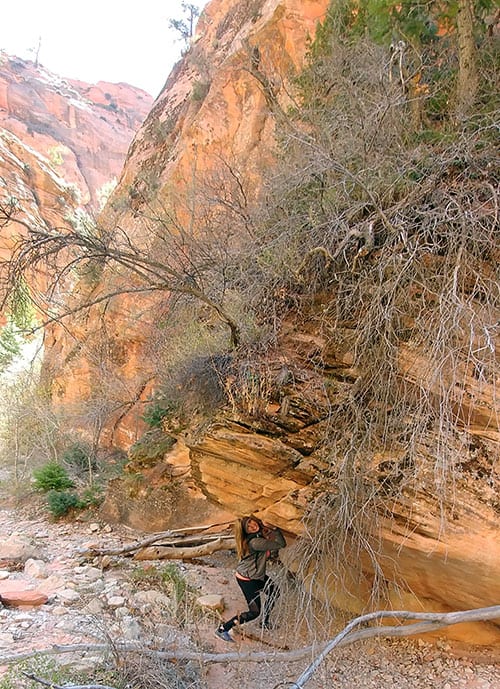 Teyla hiking