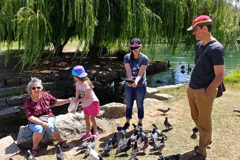 feeding the pigeons with grandma